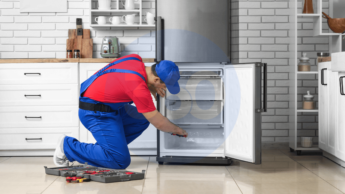 Yayladere Buzdolabı Servisi